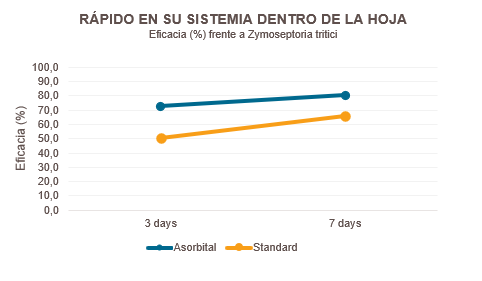 Rapido en su sistemia dentro de la hoja